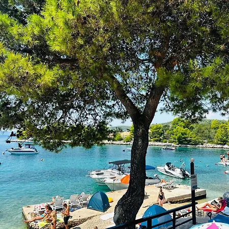 Apartment Medusalina-levante *