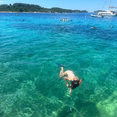 Medusalina-levante Apartment *