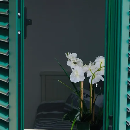 Medusalina-levante *